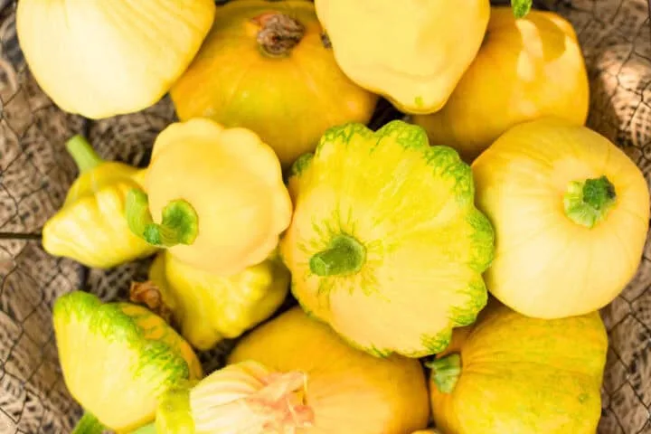Summer Squash varieties