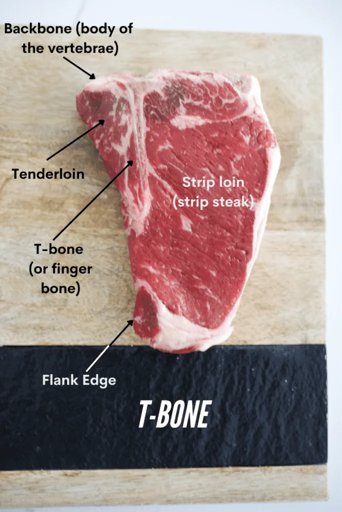 T-bone steak cut anatomy