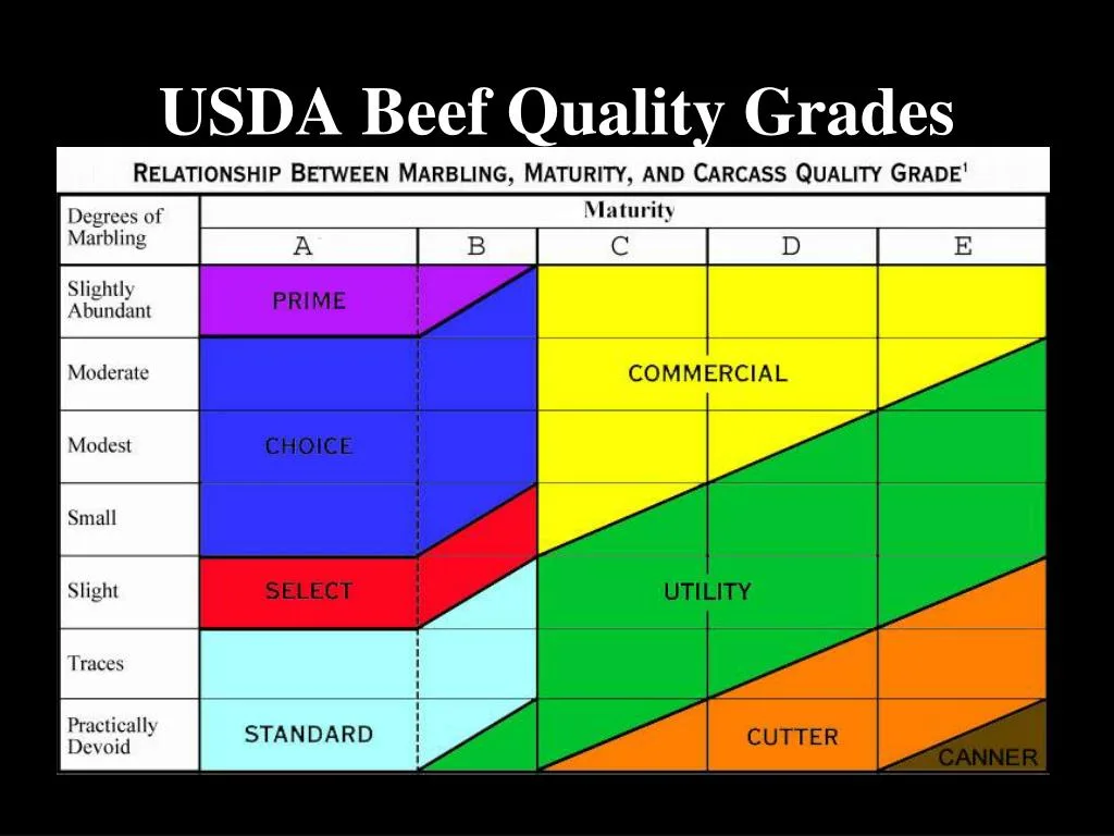 USDA beef grades Prime Choice Select