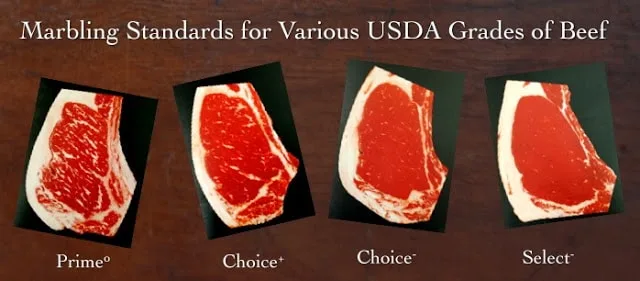 USDA beef grading